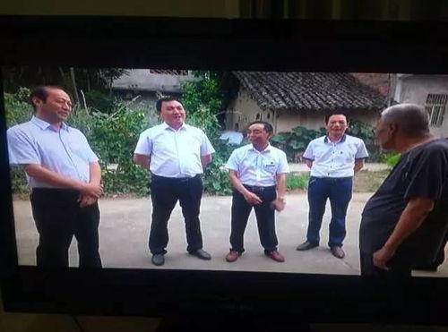 洋县新闻事件爆料,揭秘背后真相与影响 第3张 洋县新闻事件爆料,揭秘背后真相与影响 第3张